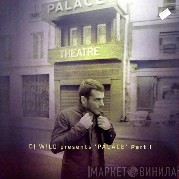 DJ Wild - Palace (Part I)