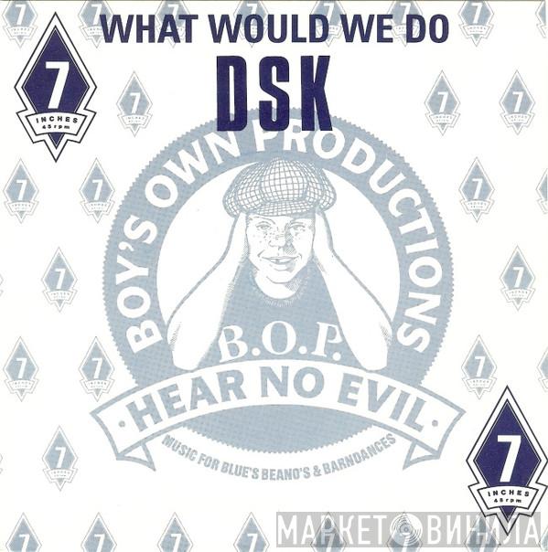 DSK - What Would We Do? / Read My Lips