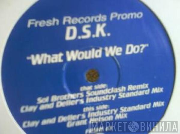  DSK  - What Would We Do?