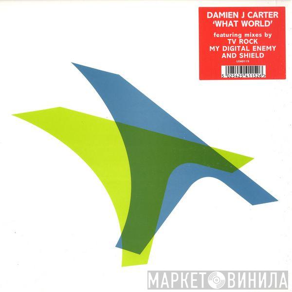 Damien J. Carter - What World