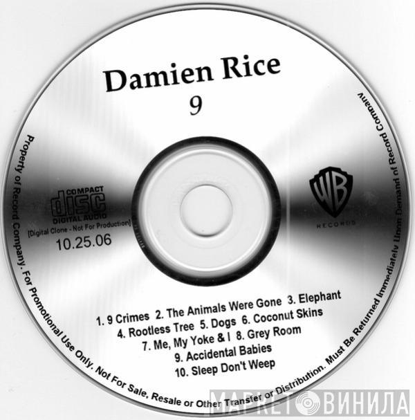  Damien Rice  - 9