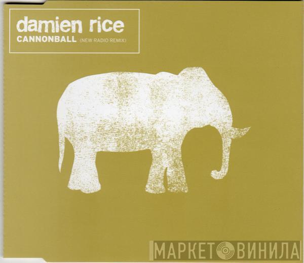 Damien Rice - Cannonball (New Radio Remix)