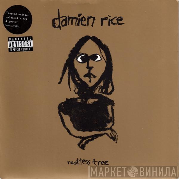Damien Rice - Rootless Tree