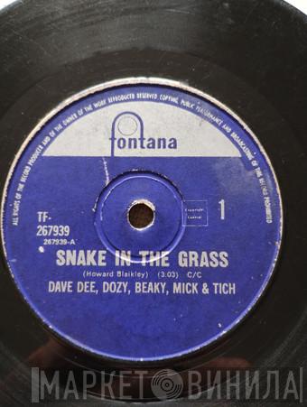  Dave Dee, Dozy, Beaky, Mick & Tich  - Snake In The Grass