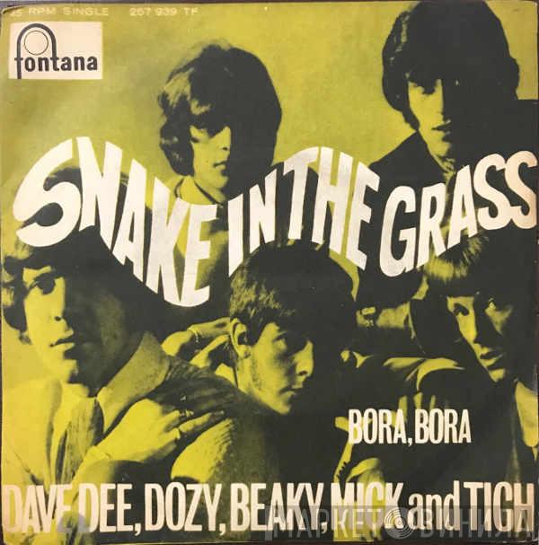  Dave Dee, Dozy, Beaky, Mick & Tich  - Snake In The Grass