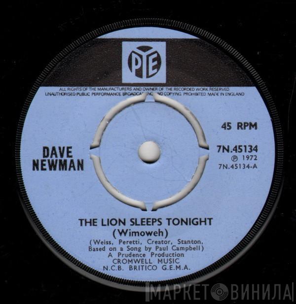 Dave Newman  - The Lion Sleeps Tonight (Wimoweh)