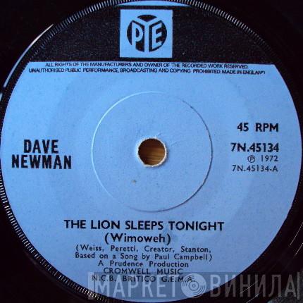 Dave Newman  - The Lion Sleeps Tonight (Wimoweh)