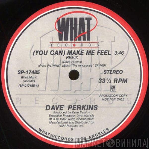 Dave Perkins - (You Can) Make Me Feel (Remix)