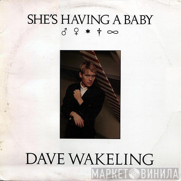 Dave Wakeling - She's Having A Baby