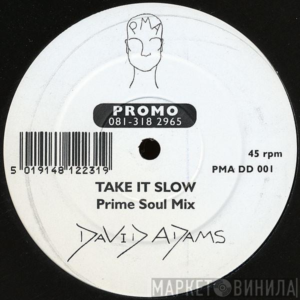 David Adams - Take It Slow