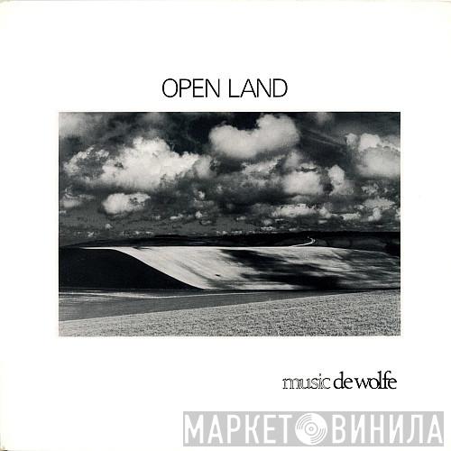 David Bradnum - Open Land