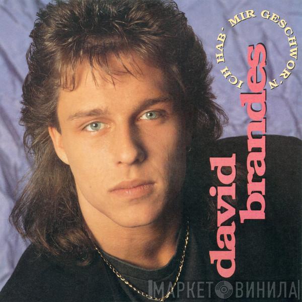  David Brandes  - Ich Hab' Mir Geschwor'n