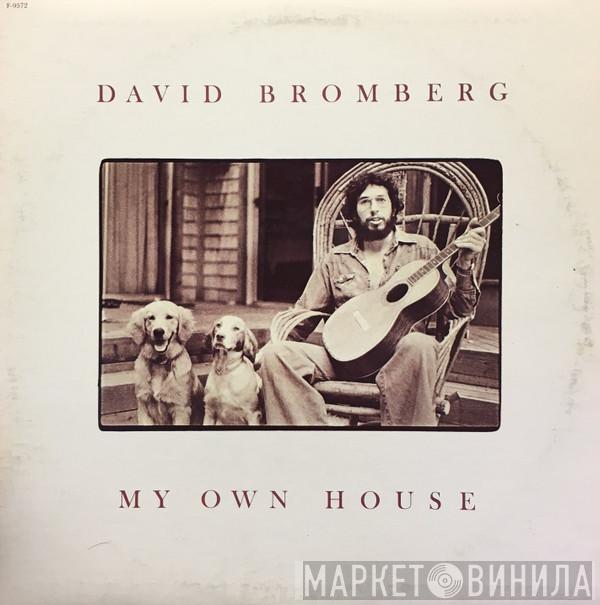 David Bromberg - My Own House