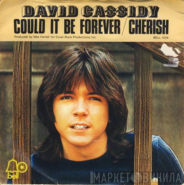 David Cassidy - Could It Be Forever / Cherish