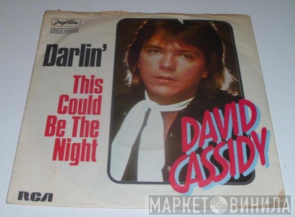  David Cassidy  - Darlin'
