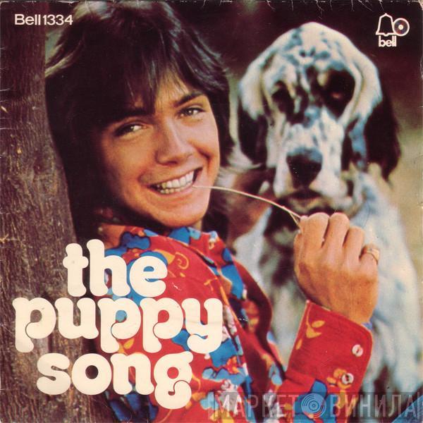 David Cassidy - Daydreamer / The Puppy Song