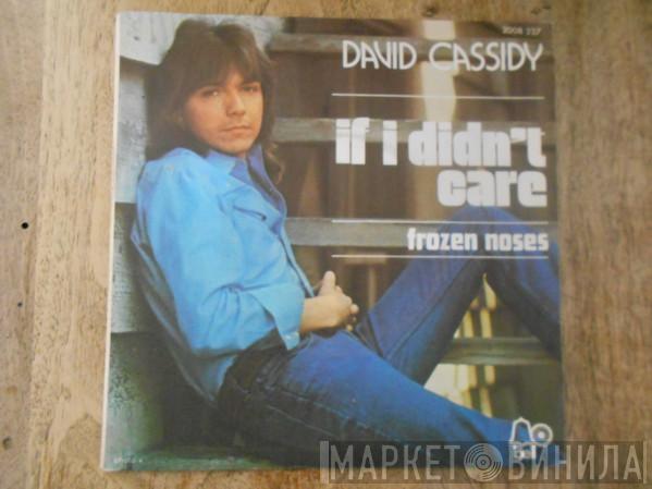  David Cassidy  - If I Didn't Care