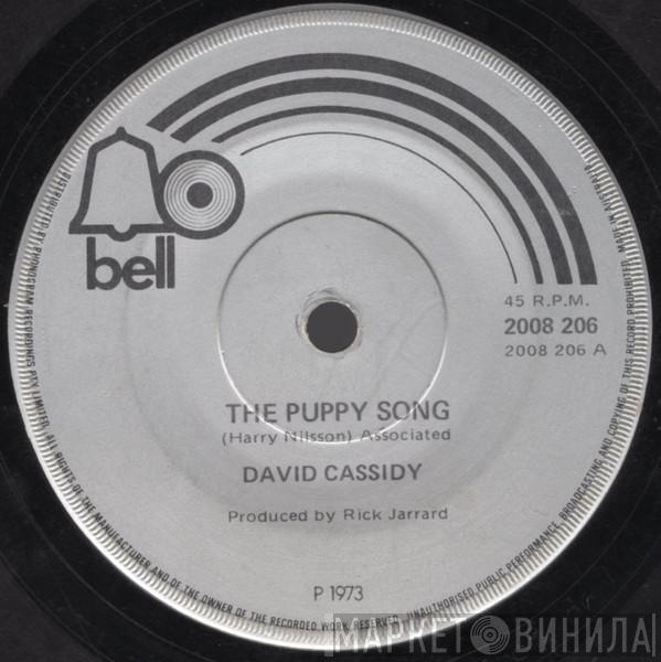  David Cassidy  - The Puppy Song
