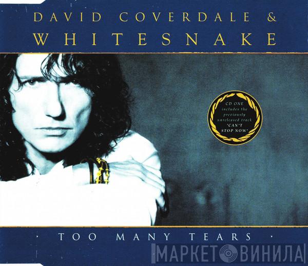 David Coverdale, Whitesnake - Too Many Tears
