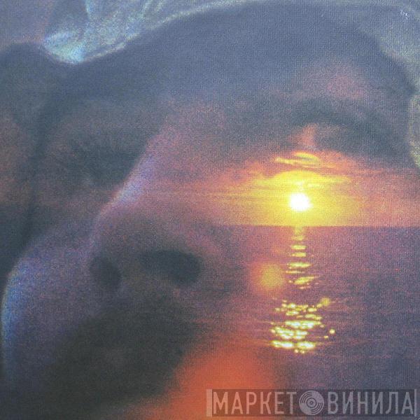  David Crosby  - If I Could Only Remember My Name