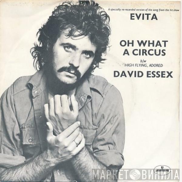  David Essex  - Oh What A Circus