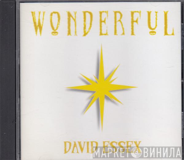 David Essex - Wonderful