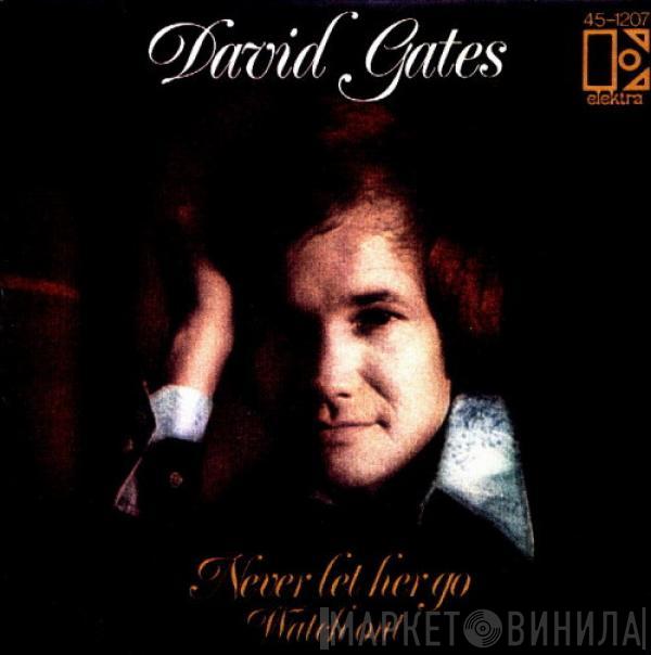 David Gates - Never Let Her Go