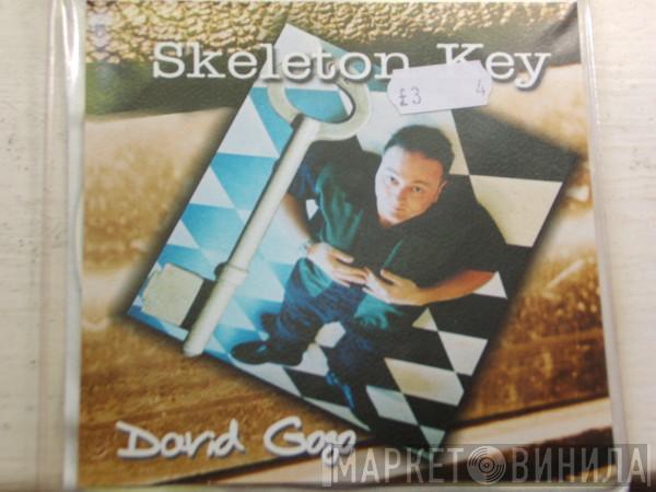 David Gogo - Skeleton Key