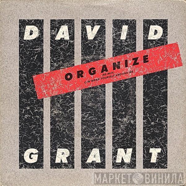 David Grant - Organize / Wrap Yourself Around Me