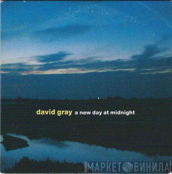  David Gray  - A New Day At Midnight