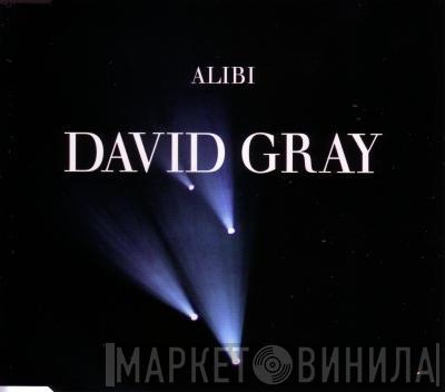 David Gray - Alibi