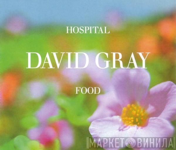 David Gray - Hospital Food