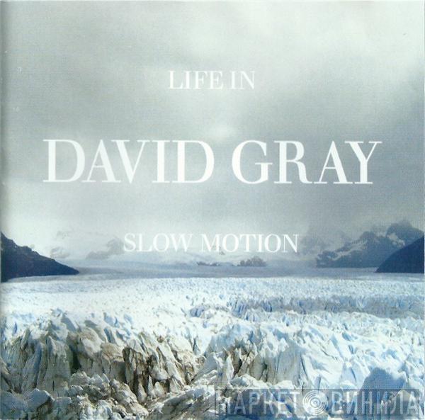 David Gray - Life In Slow Motion