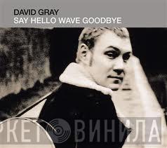David Gray - Say Hello Wave Goodbye