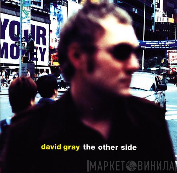 David Gray - The Other Side