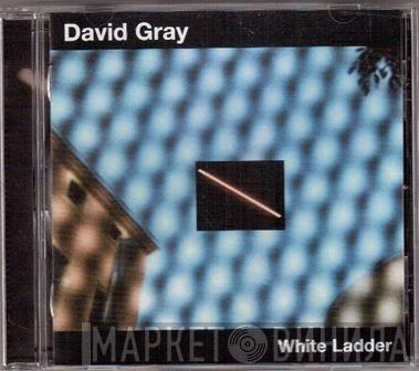  David Gray  - White Ladder