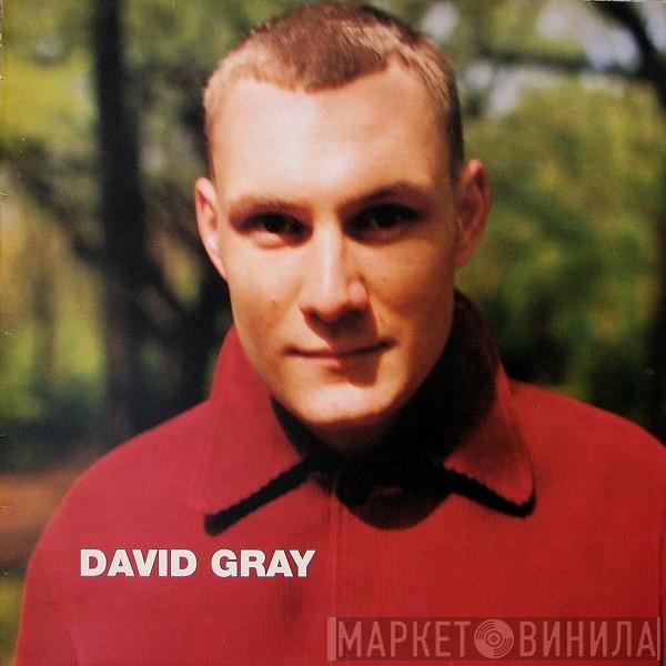 David Gray - Wisdom