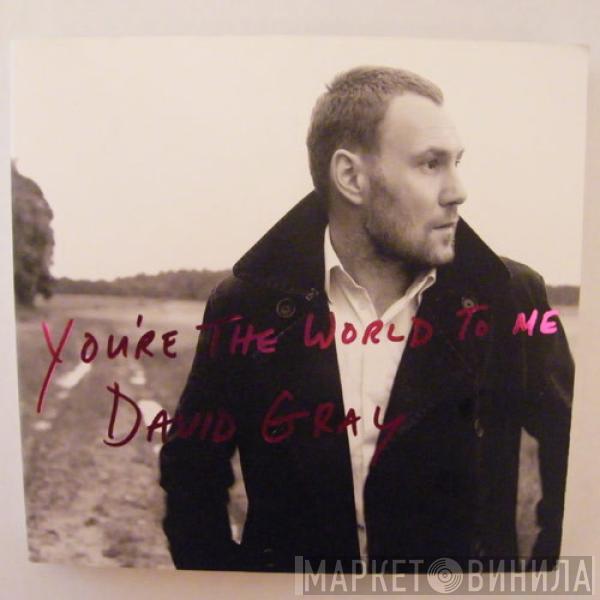 David Gray - You're The World To Me