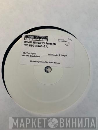  David Harness  - The Beginning E.P.