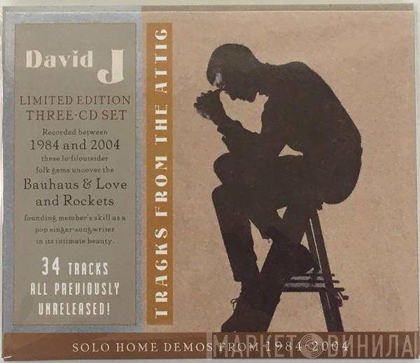 David J - Tracks From The Attic