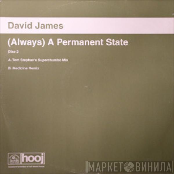  David James  - (Always) A Permanent State