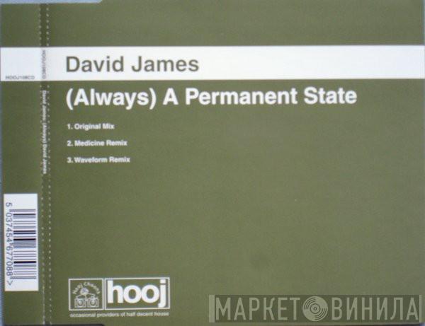  David James  - (Always) A Permanent State