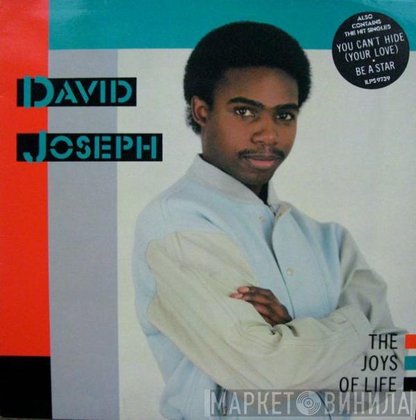 David Joseph - The Joys Of Life
