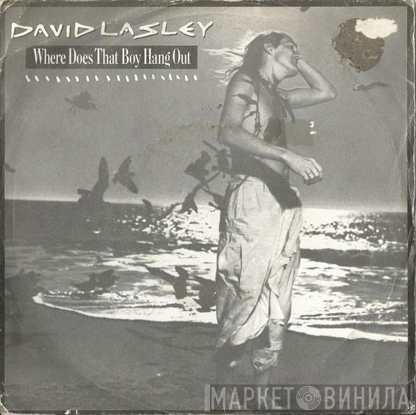David Lasley - Where Does That Boy Hang Out