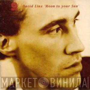  David Linx  - Moon To Your Sun