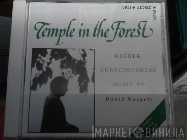 David Naegele - Temple In The Forest