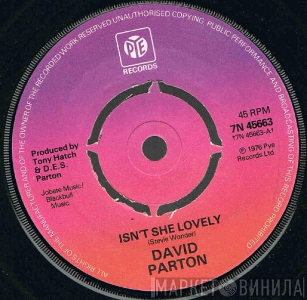 David Parton - Isn't She Lovely