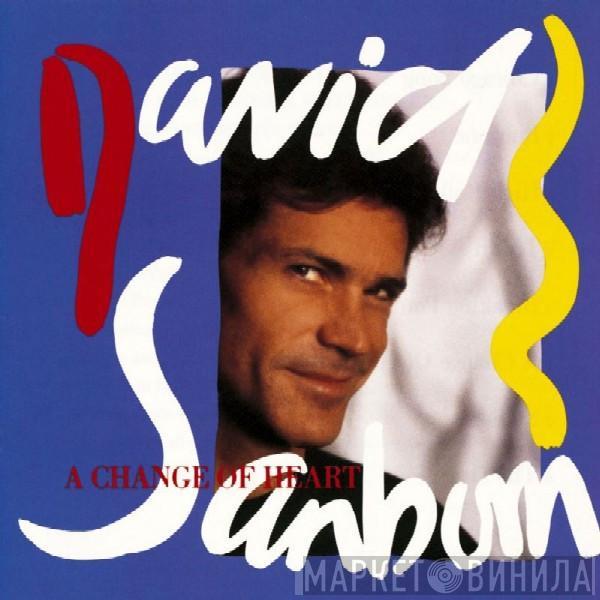  David Sanborn  - A Change Of Heart