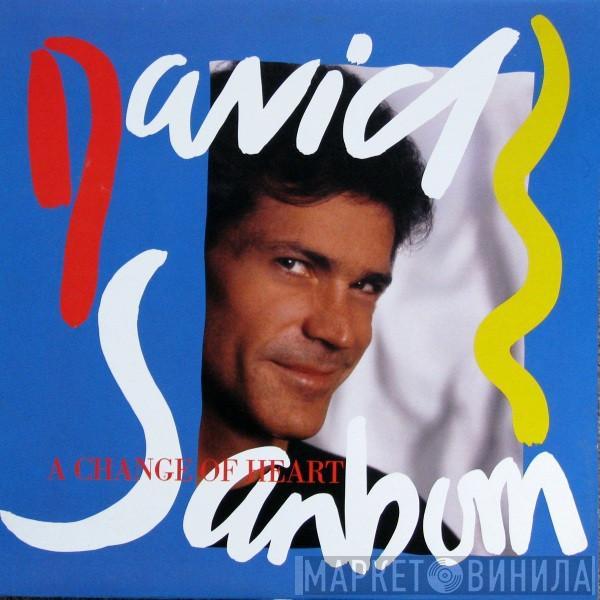  David Sanborn  - A Change Of Heart