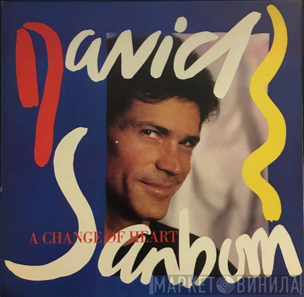  David Sanborn  - A Change Of Heart